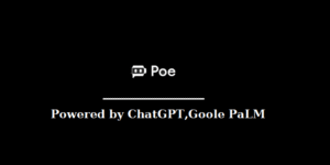 Poe Chat bot