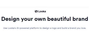 looka is logo maker ai based online tool